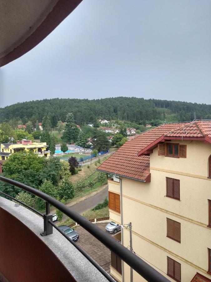 Apartman Ninic Врнячка-Баня Экстерьер фото